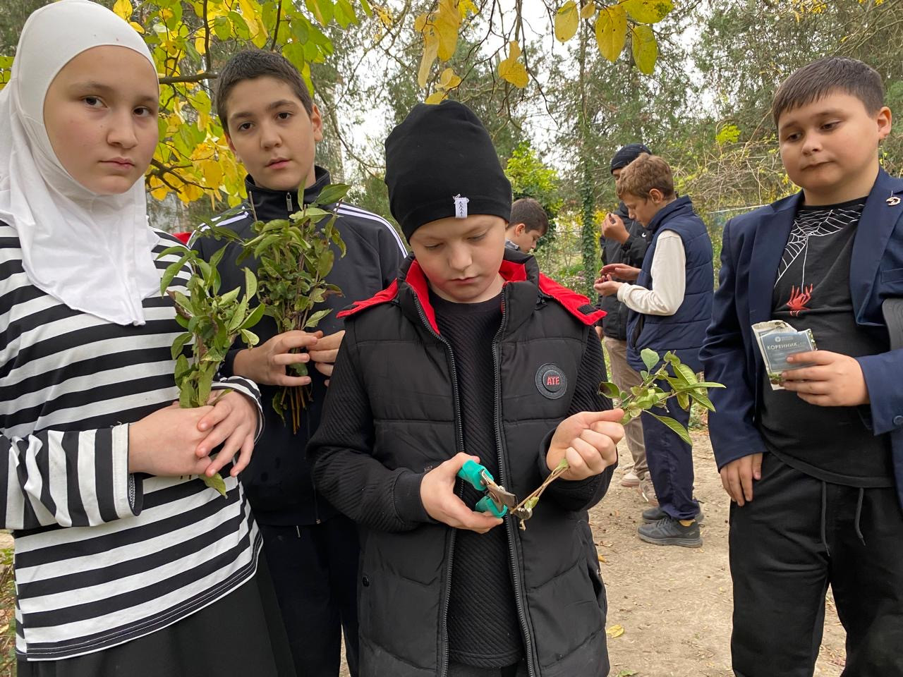 "Комнатные цветоводы"