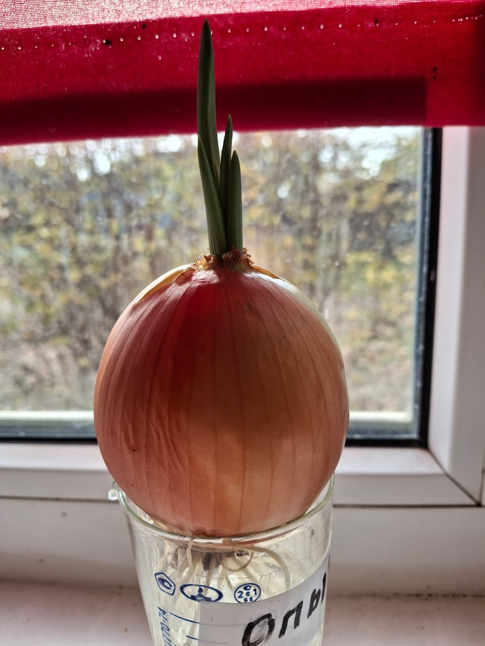 Объединение "Агростарт"