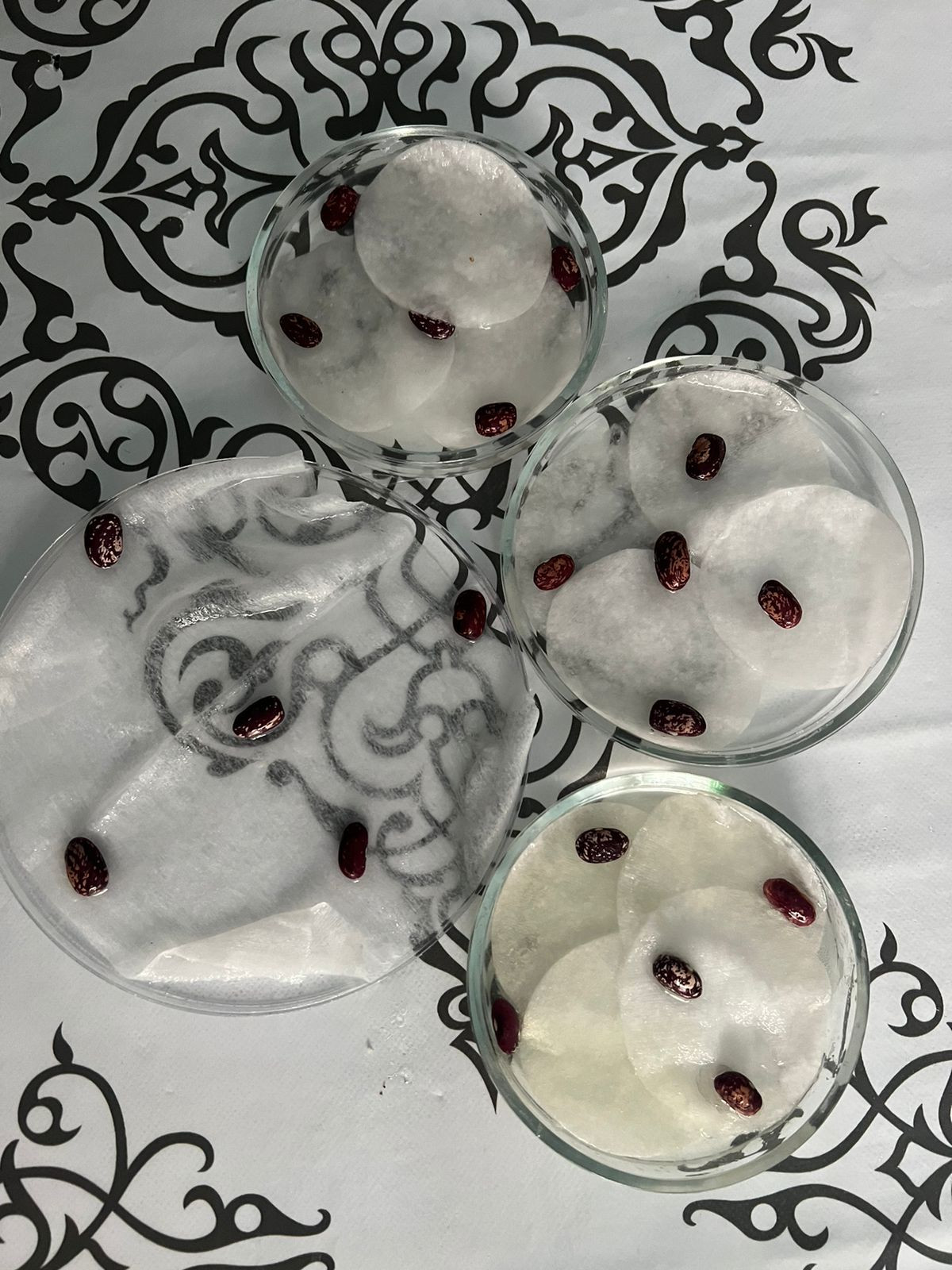 "Ландшафтный дизайнер"