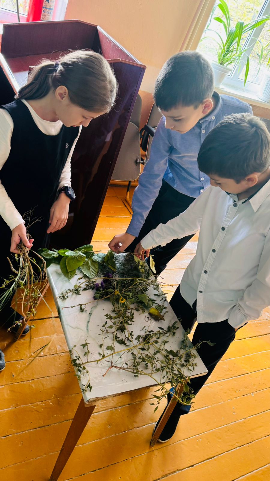 График проведения открытых занятий в объединениях ДДиМ на 2024- 2025 уч.г.