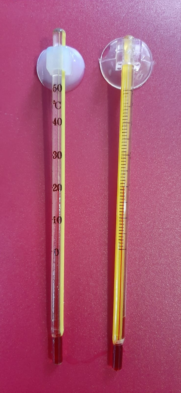 Объединение "Юные аквариумисты"