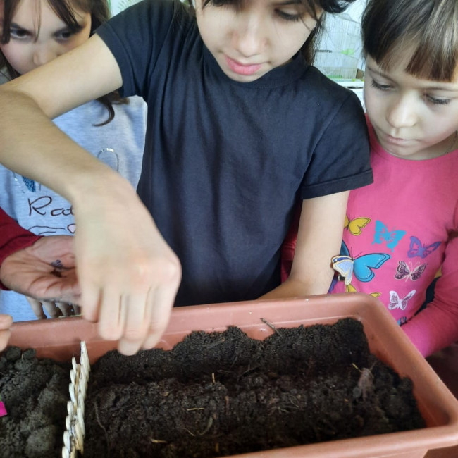 Объединение"Грунтовые цветоводы"