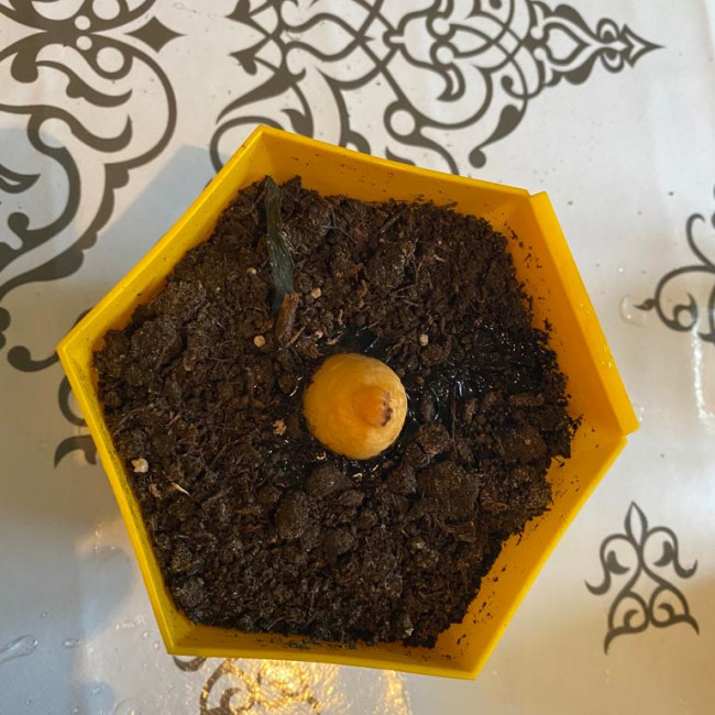 Объединение "Цветоводы"