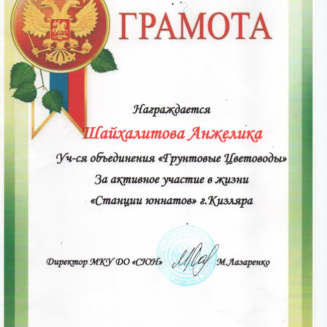 Достижения