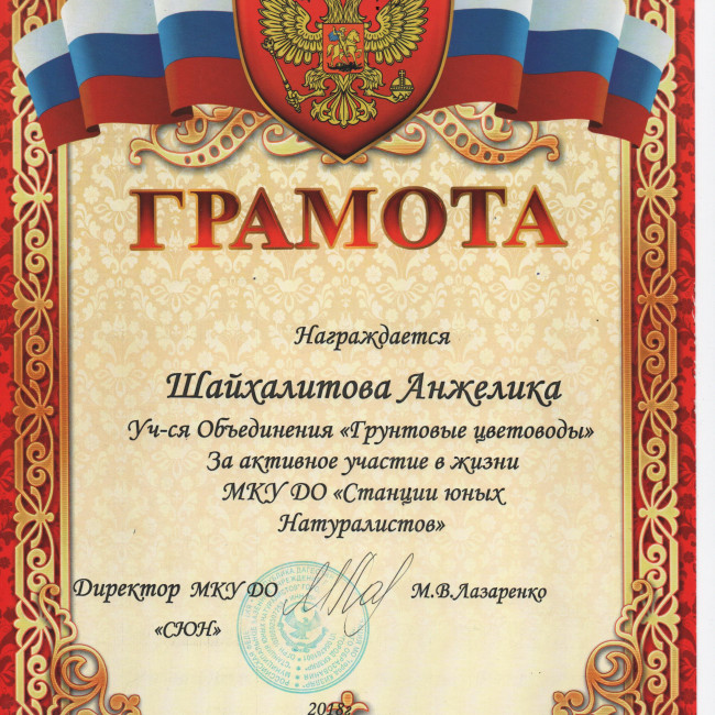 Достижения