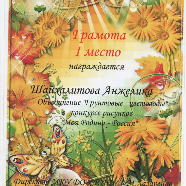 Достижения