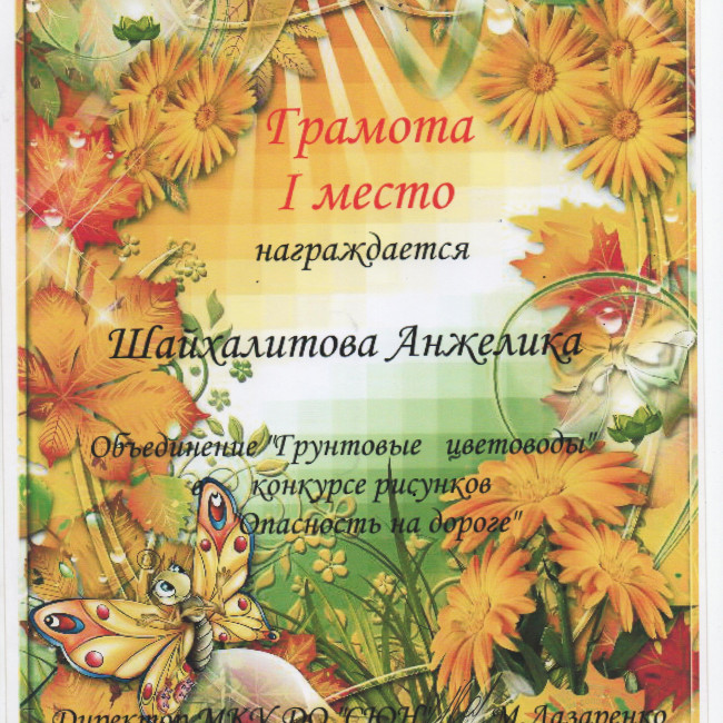 Достижения