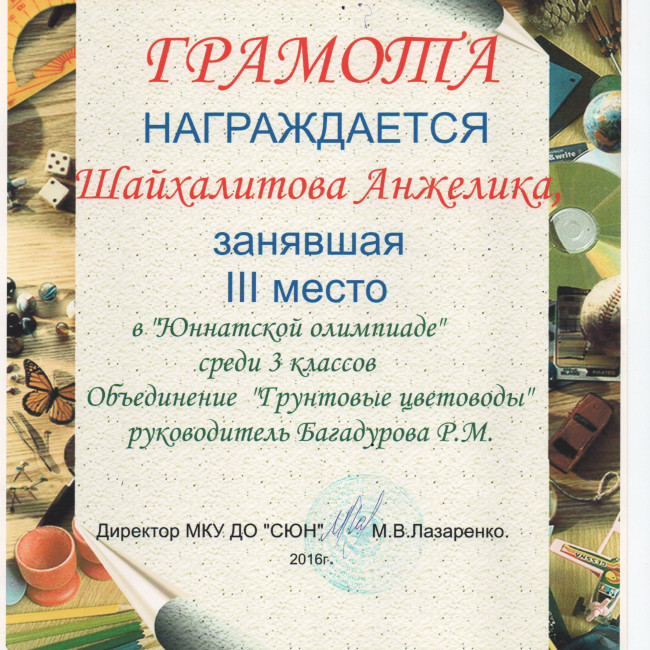 Достижения