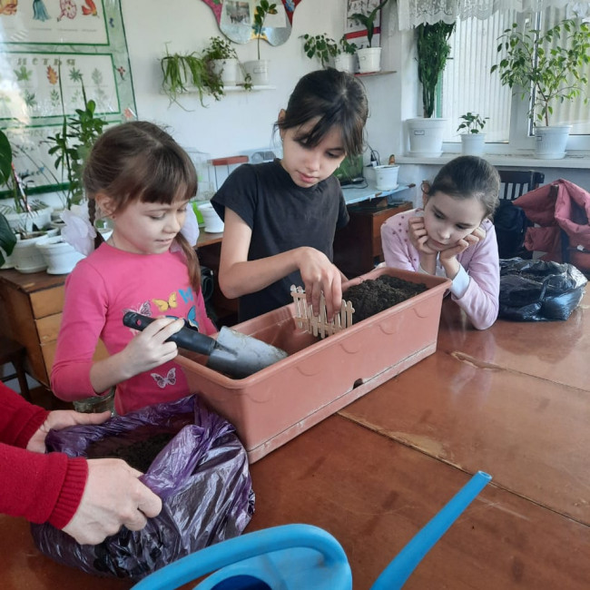 Объединение"Грунтовые цветоводы"