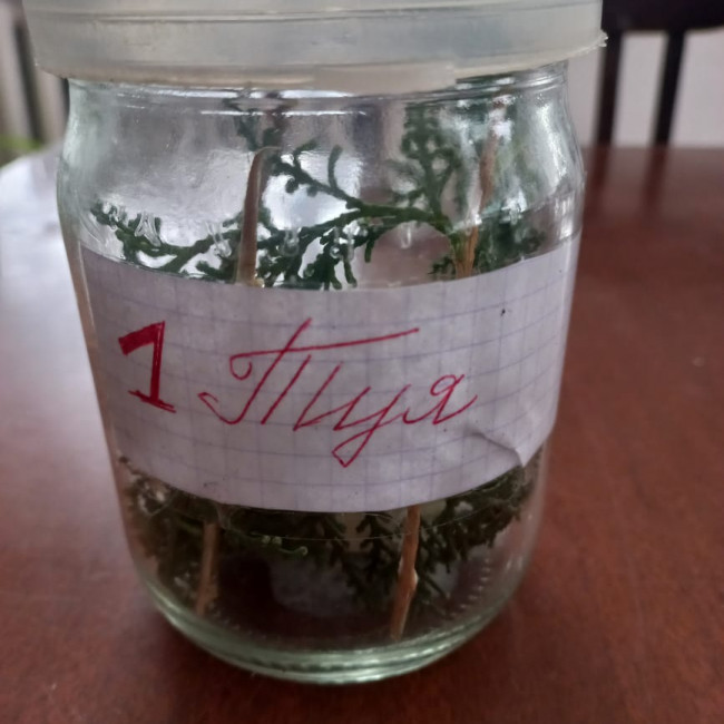 Объединение "Охрана природы"