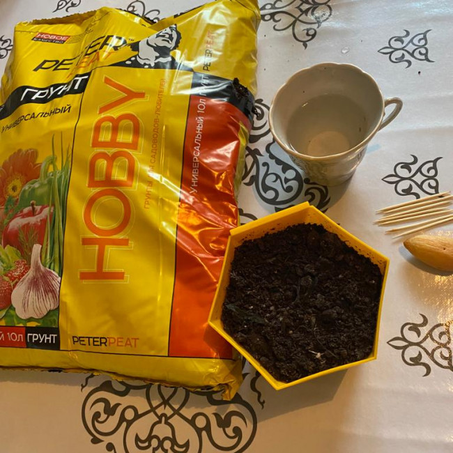 Объединение "Цветоводы"