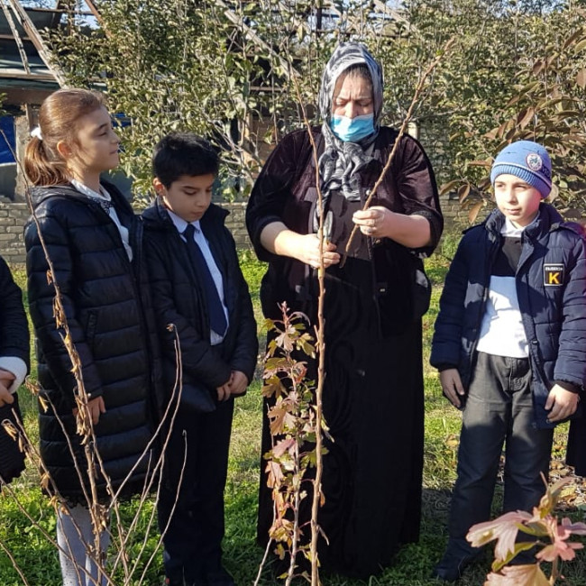 Объединение "Садоводы"