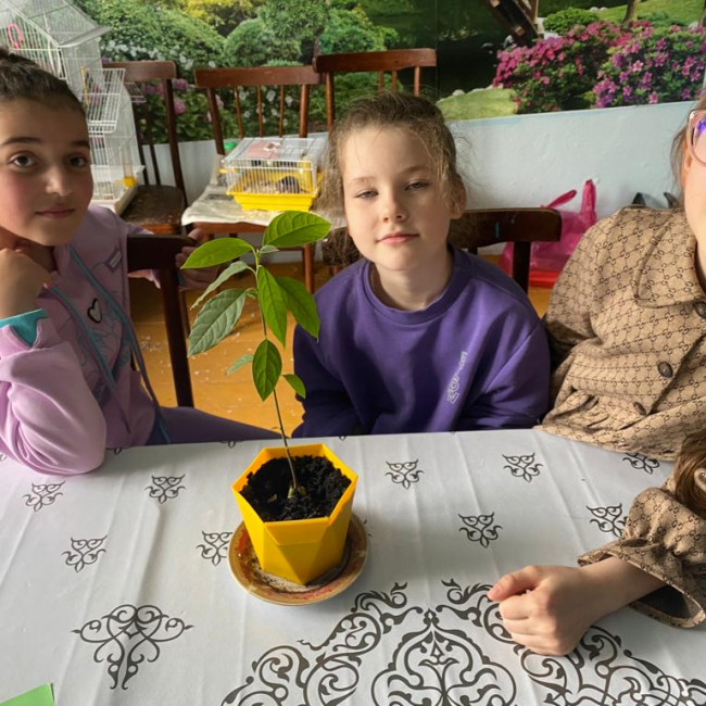 Опытническая и исследовательская работа в объединении "Цветоводы"