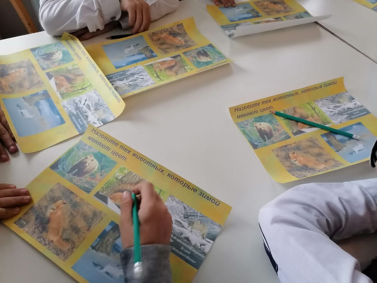 Результаты освоения ДОП "Мир вокруг нас"