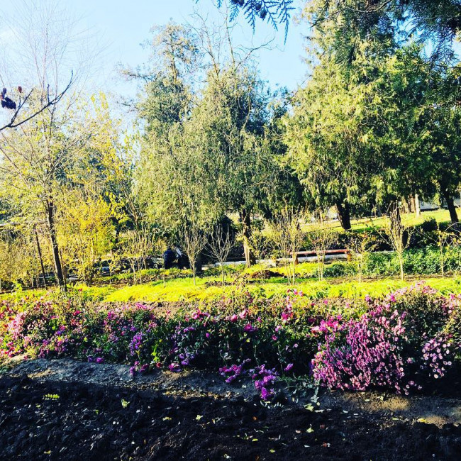 Учебно- опытный участок объединения "Цветоводы"