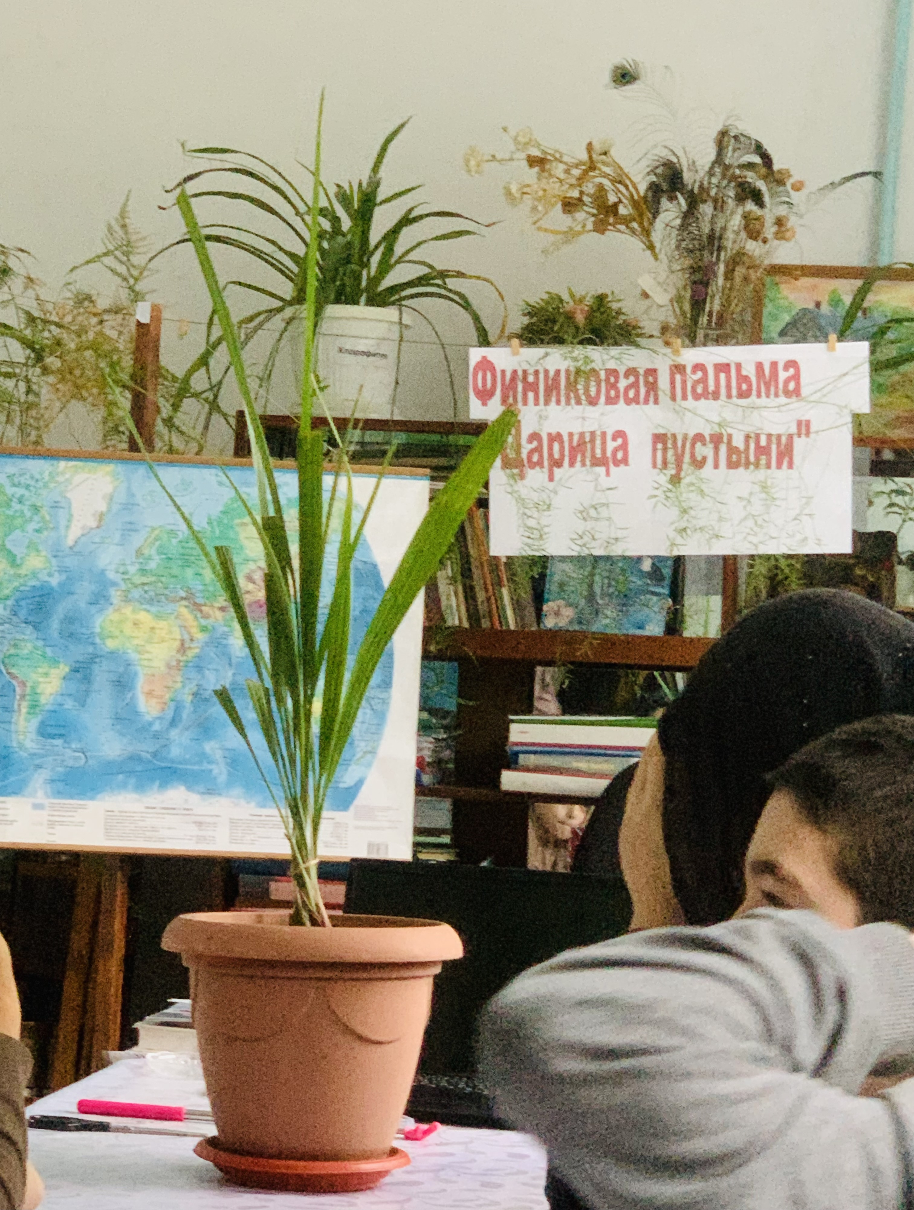 График проведения открытых занятий в объединениях ДДиМ на 2025- 2026 уч.г. График проведения открытых занятий в объединениях ДДиМ на 2025- 2026 уч.г.