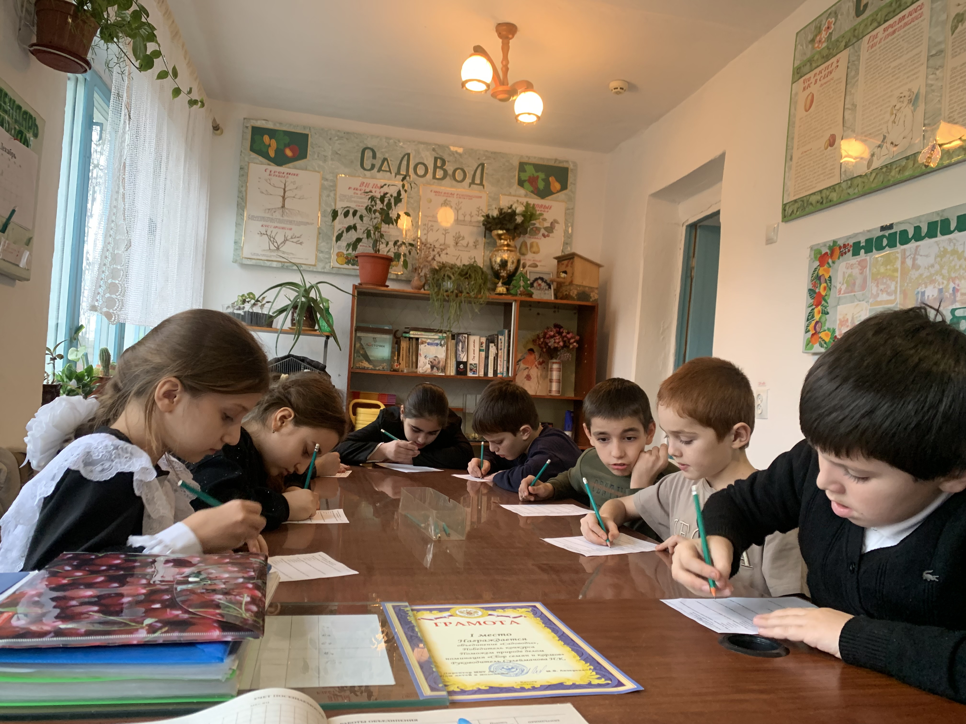 Мониторинг 2025- 2026