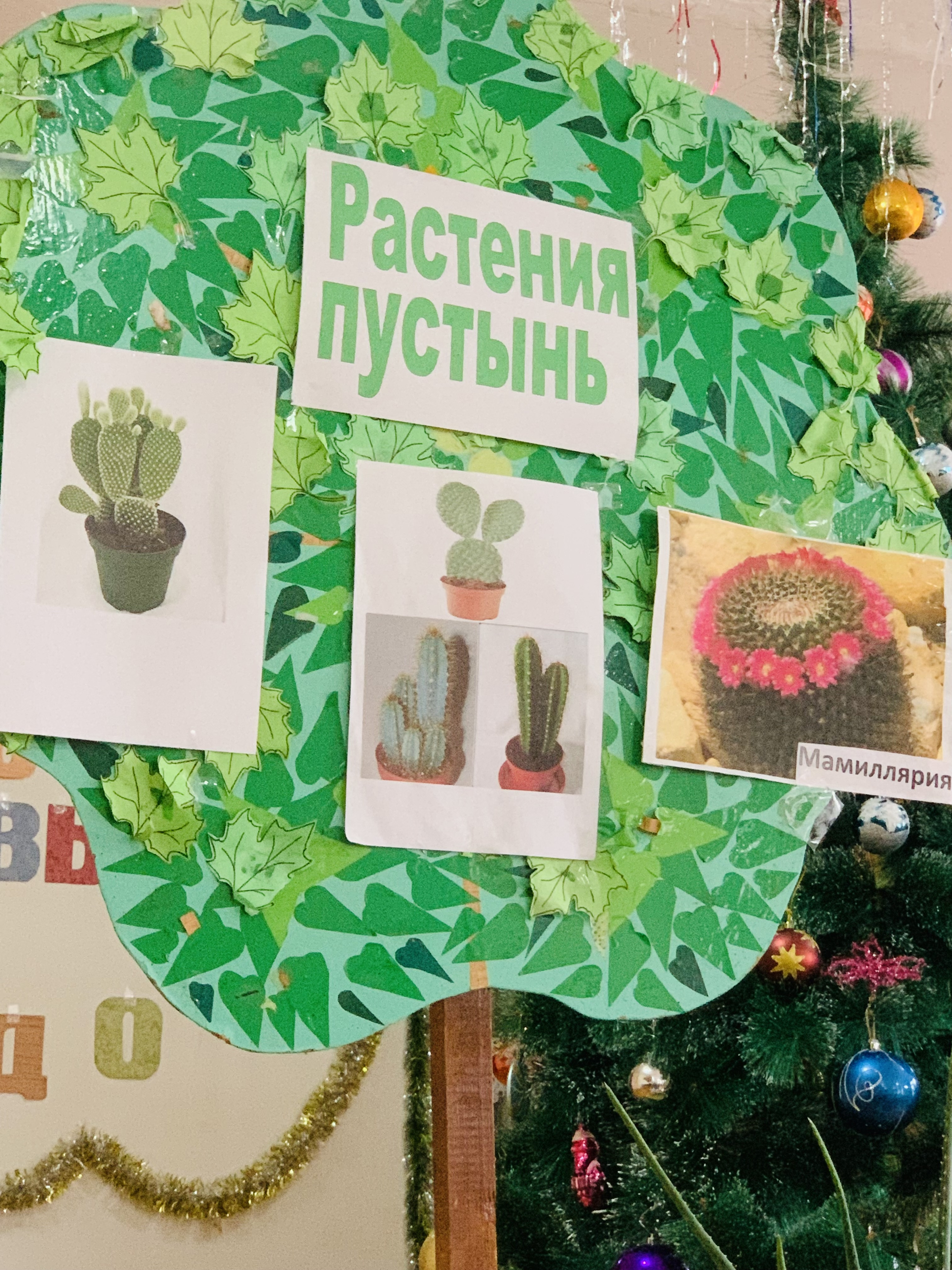 График проведения открытых занятий в объединениях ДДиМ на 2024- 2025 уч.г.