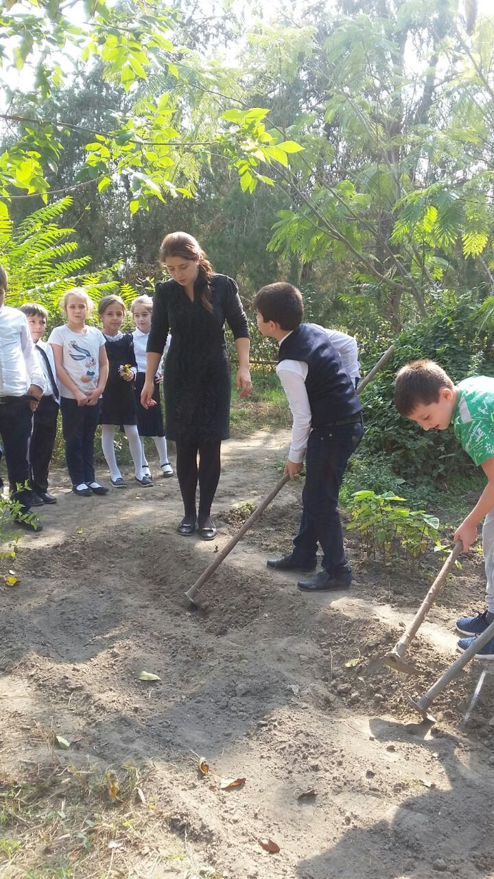 Результаты освоения ДОП "Мир вокруг нас"