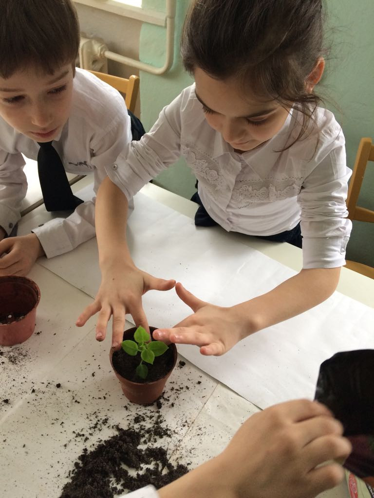 Результаты освоения ДОП "Мир вокруг нас"