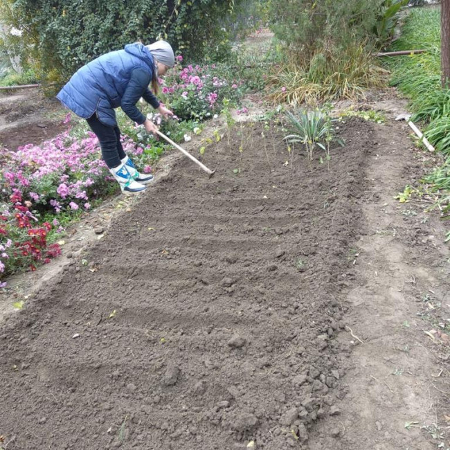 Анкета участника- конкурсанта