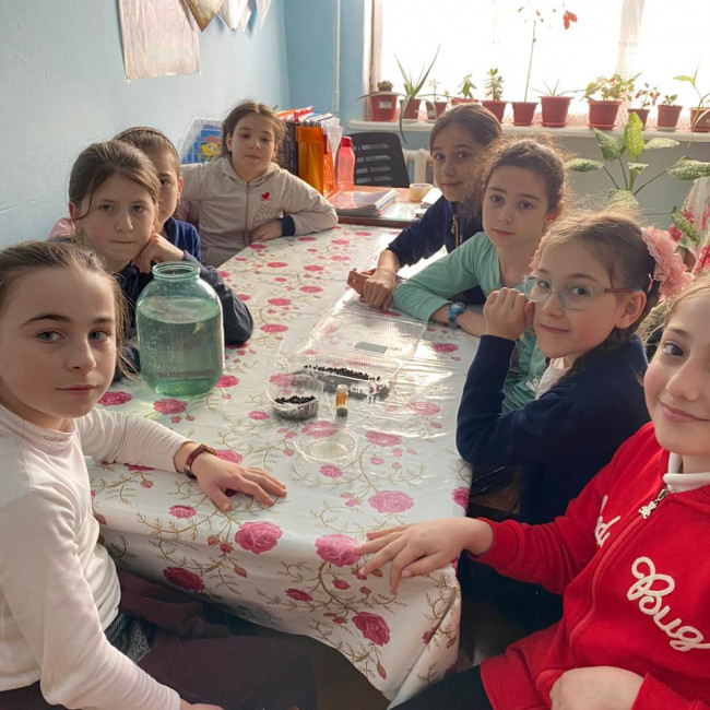 Опытническая и исследовательская работа в объединении "Цветоводы" Опытническая и исследовательская работа в объединении "Цветоводы"