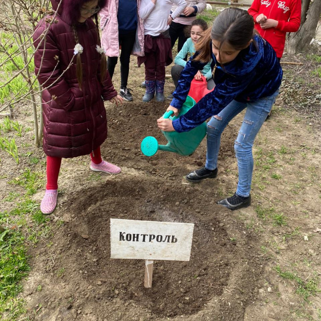 Опытническая и исследовательская работа в объединении "Цветоводы" Опытническая и исследовательская работа в объединении "Цветоводы"