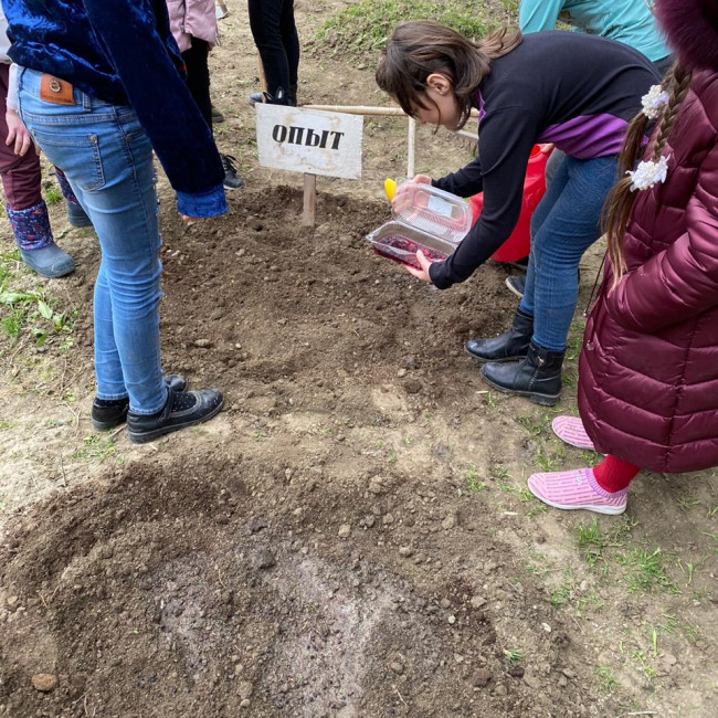 Опытническая и исследовательская работа в объединении "Цветоводы" Опытническая и исследовательская работа в объединении "Цветоводы"