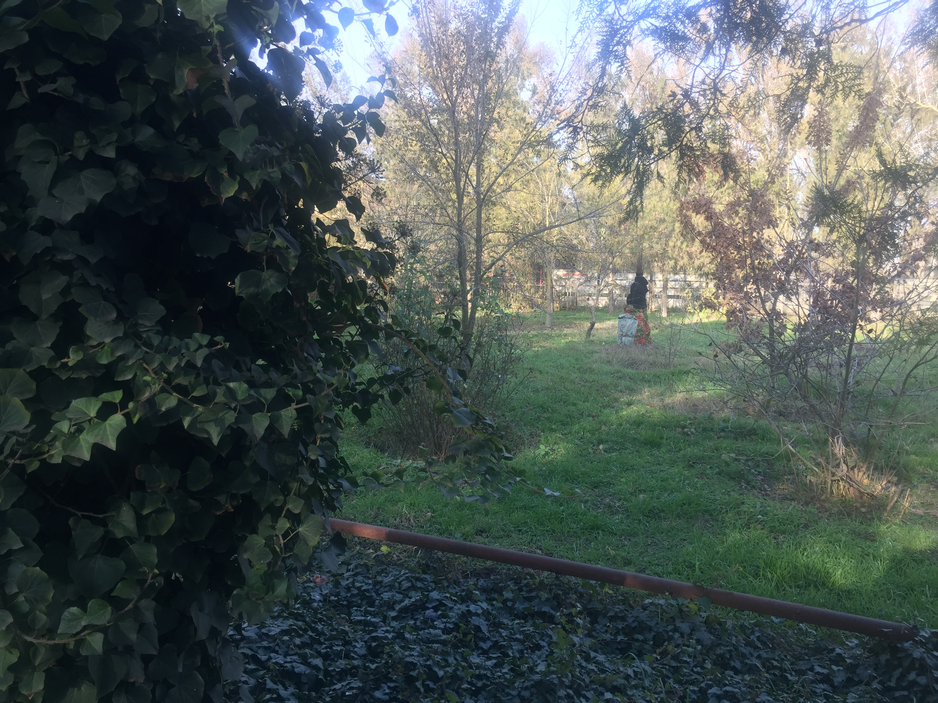 Учебно- опытный участок объединения "Юные аквариумисты"