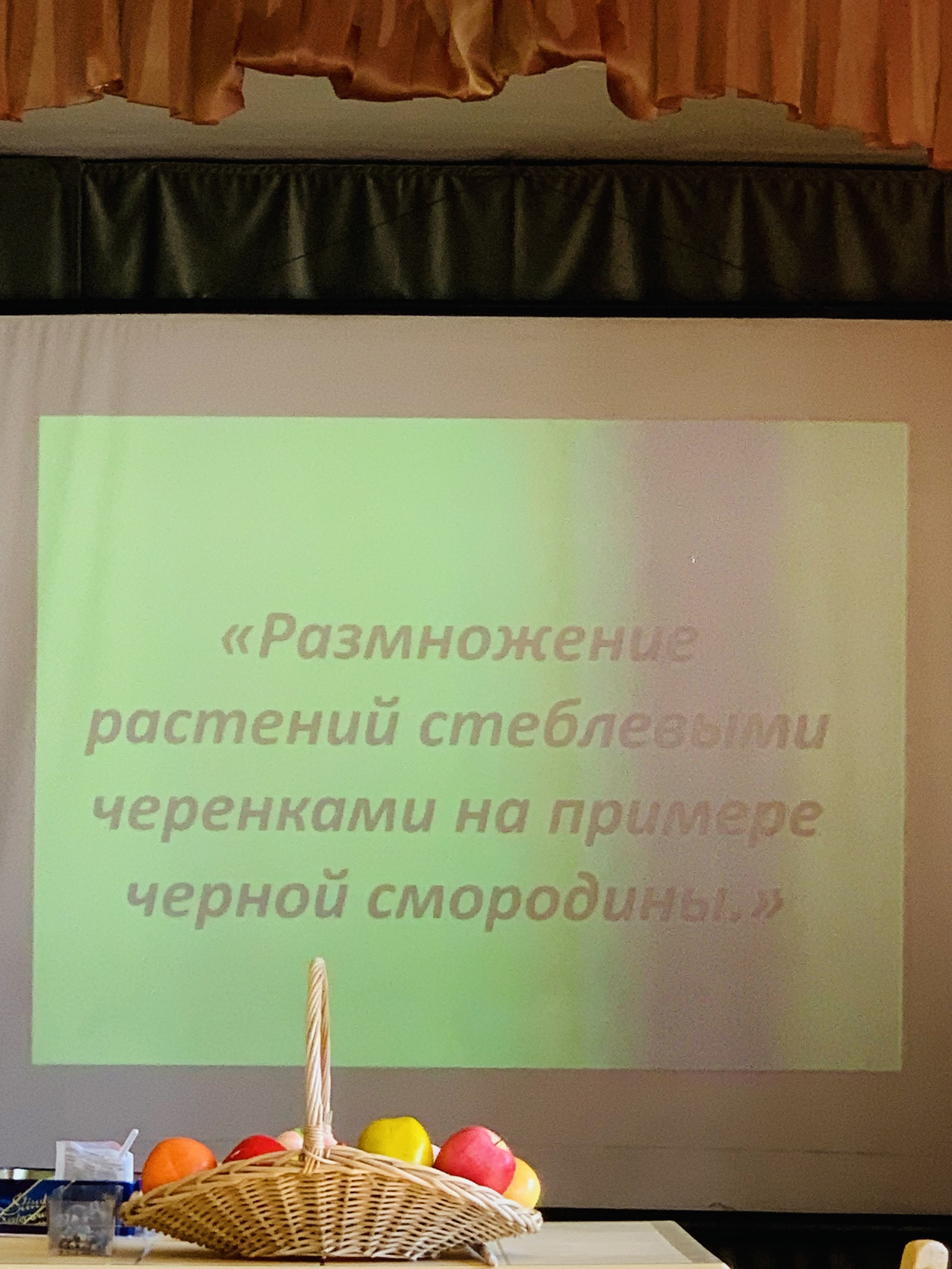 График проведения открытых занятий в объединениях ДДиМ на 2024- 2025 уч.г.