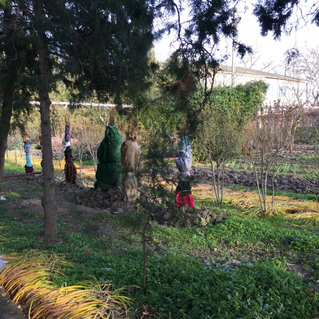 Учебно- опытный участок объединения "Цветоводы"