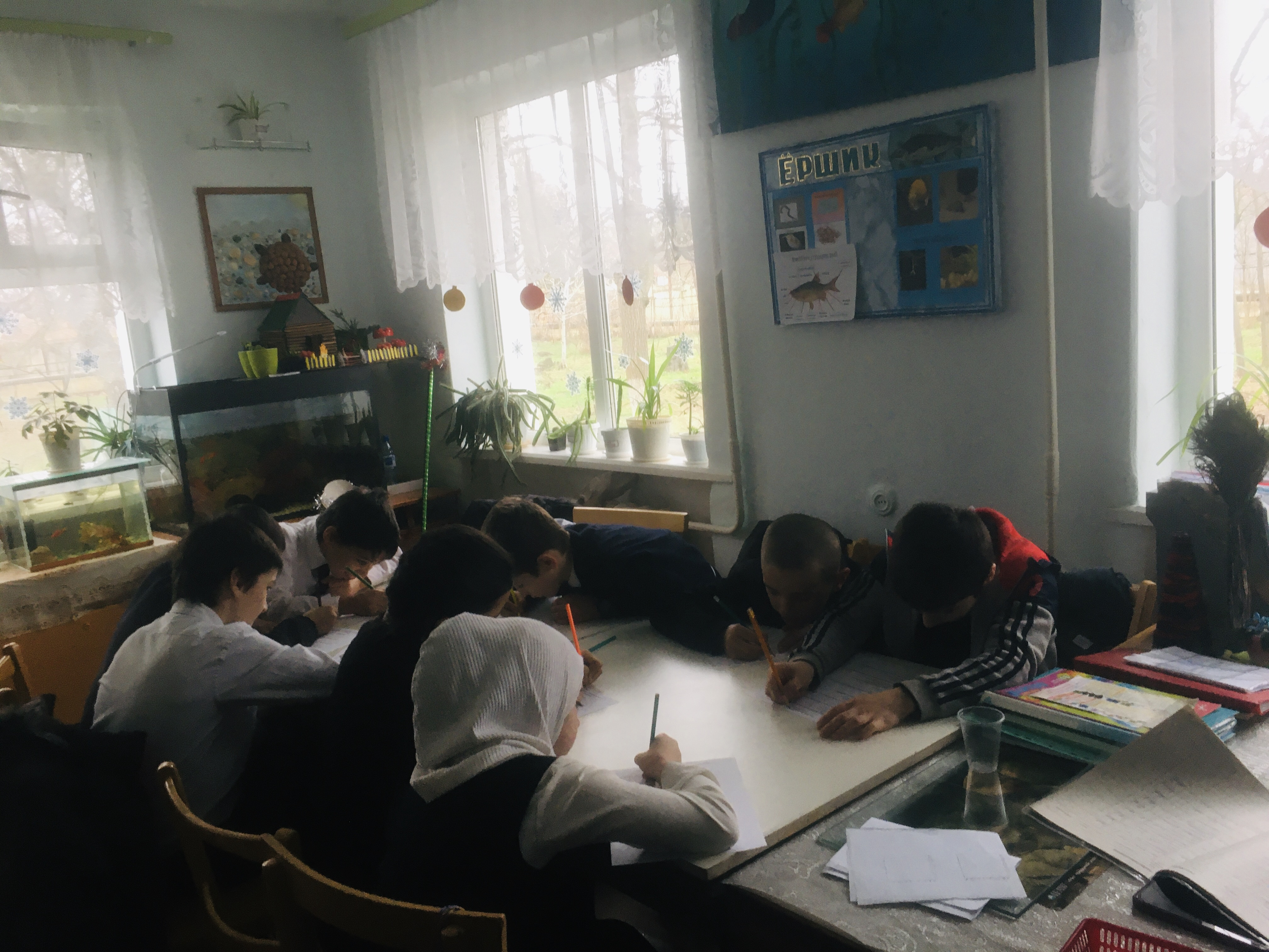 Результаты освоения ДОП "Мир вокруг нас"