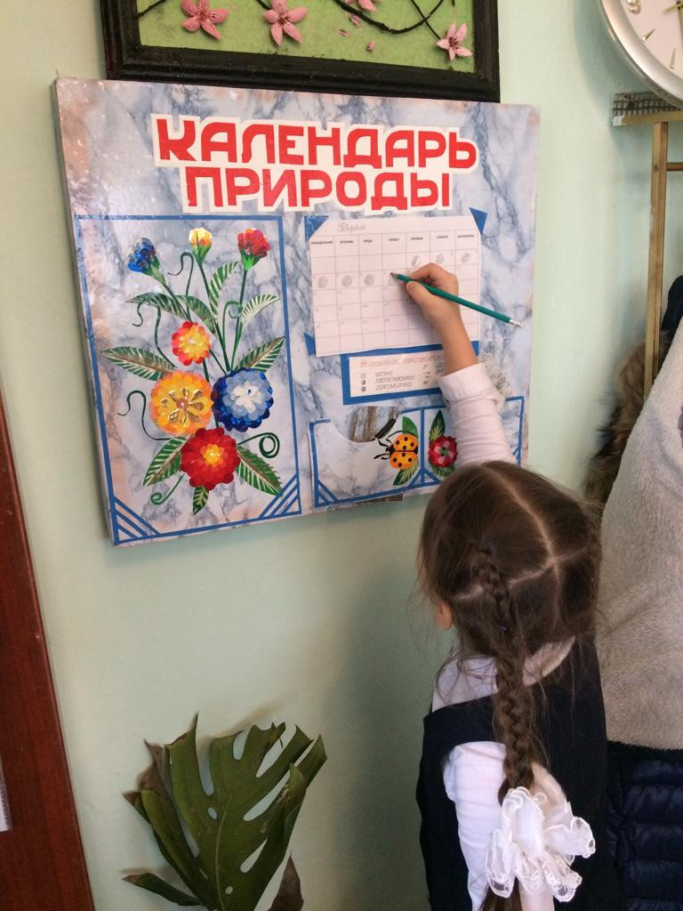 Результаты освоения ДОП "Мир вокруг нас"