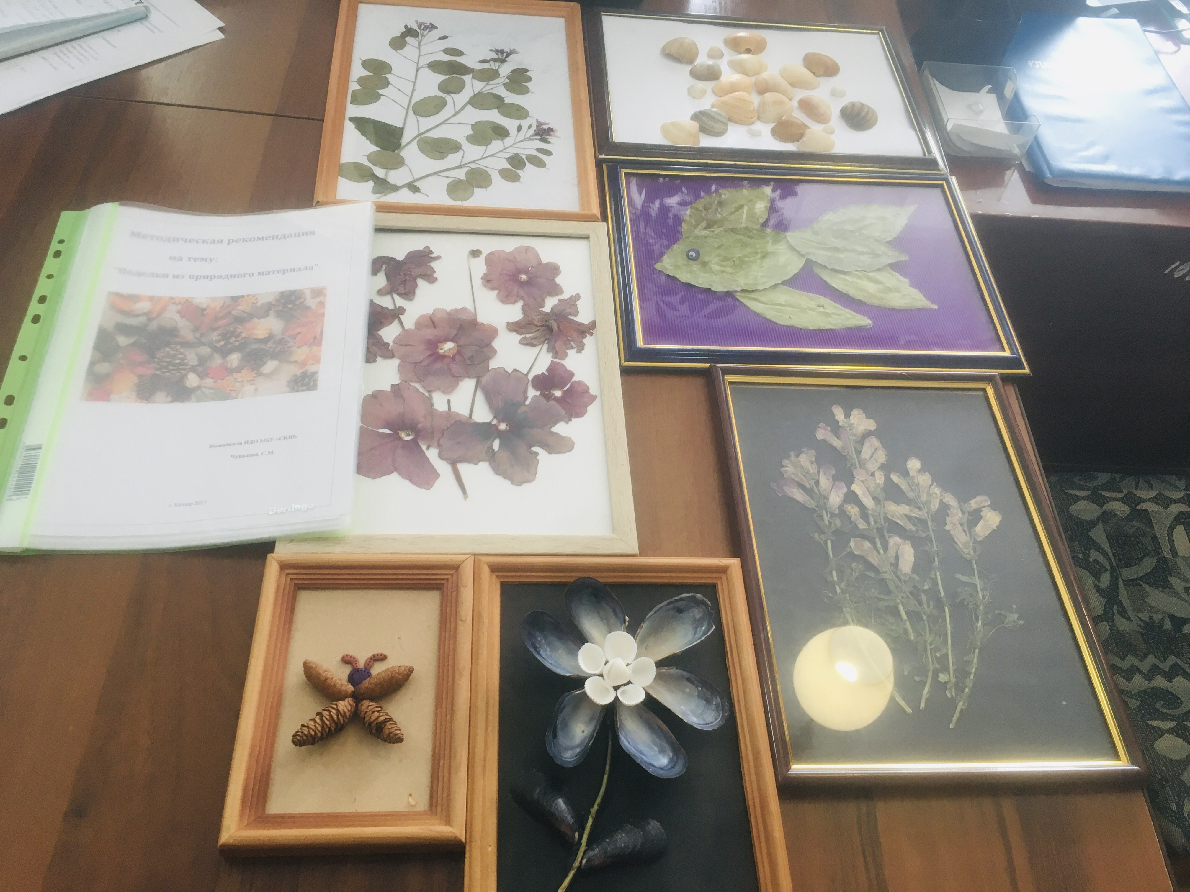 Результаты освоения ДОП "Мир вокруг нас"