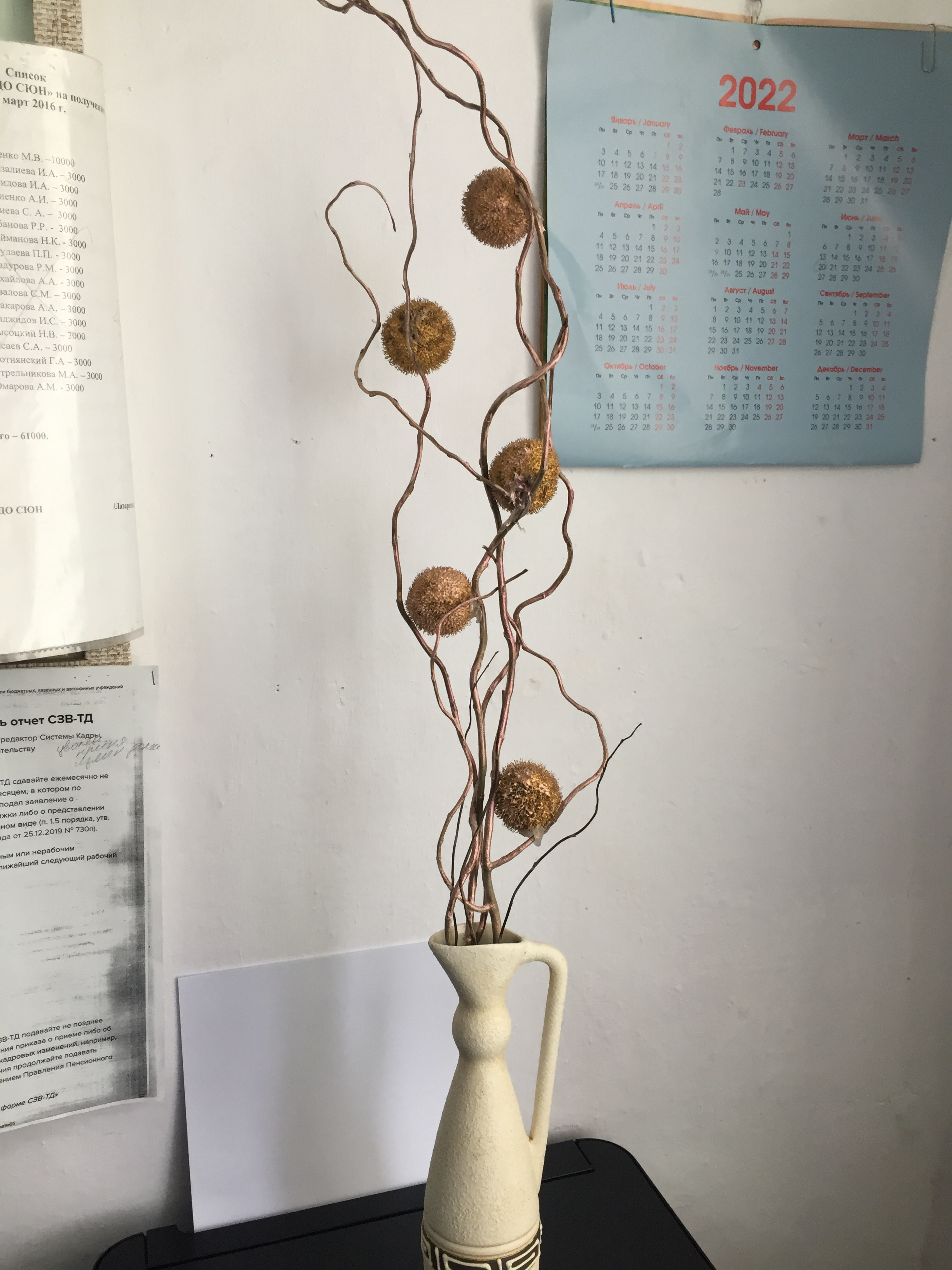 Результаты освоения ДОП "Мир вокруг нас"