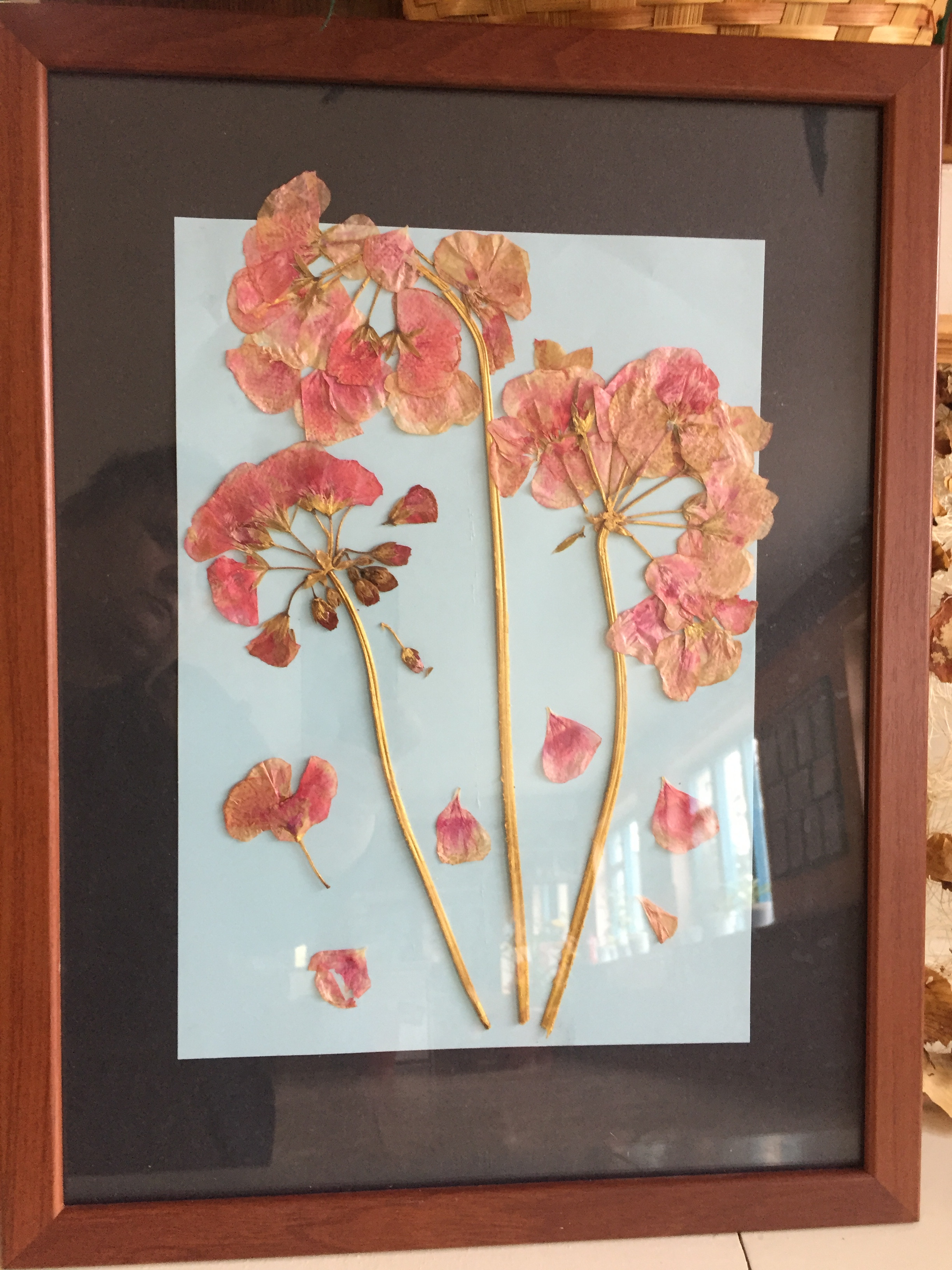 Результаты освоения ДОП "Мир вокруг нас"