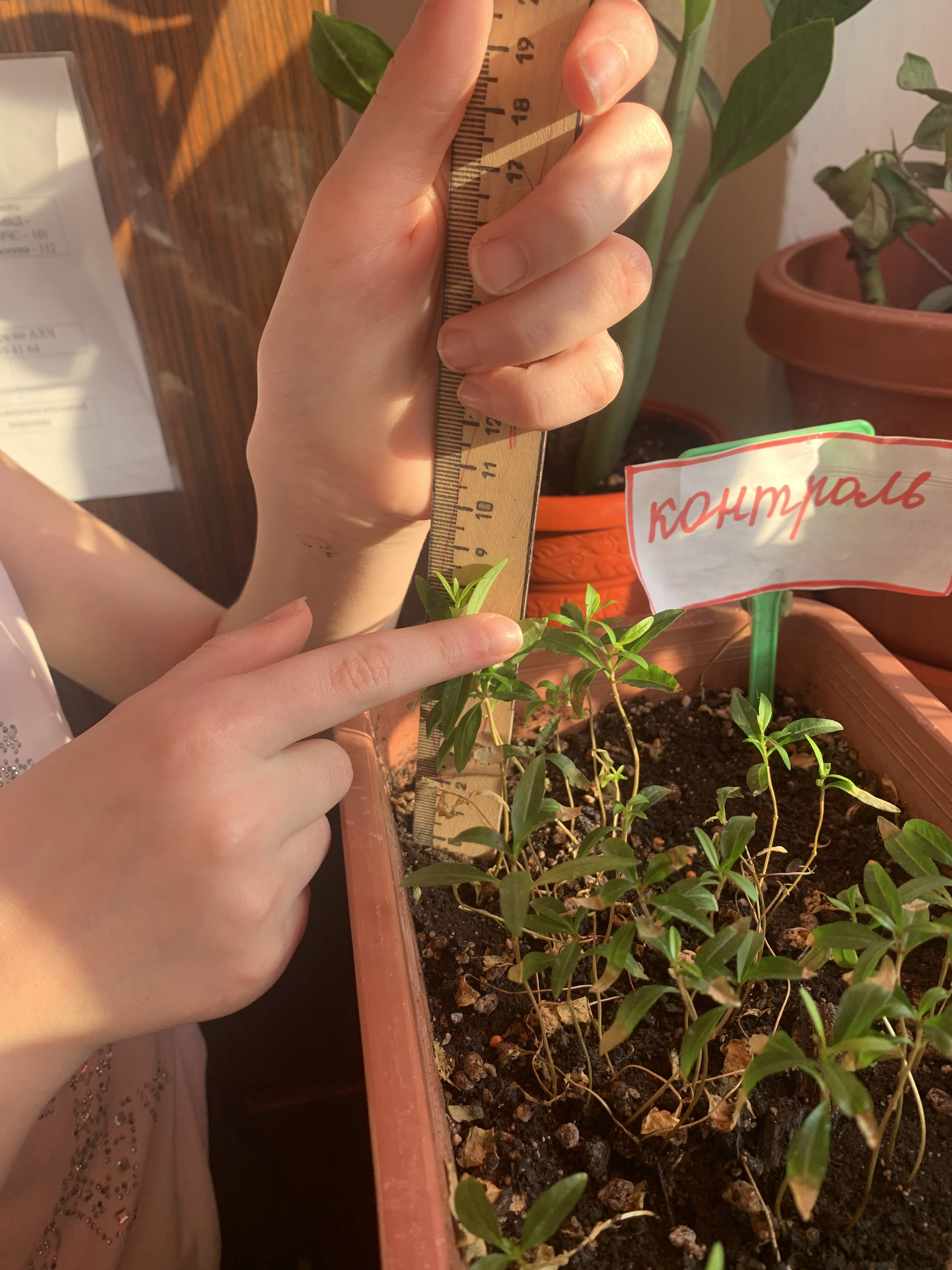 Объединение "Лесоводы"