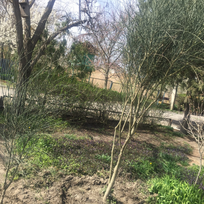 Учебно- опытный участок объединения "Цветоводы"