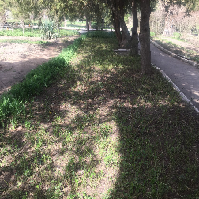 Учебно- опытный участок объединения "Цветоводы"