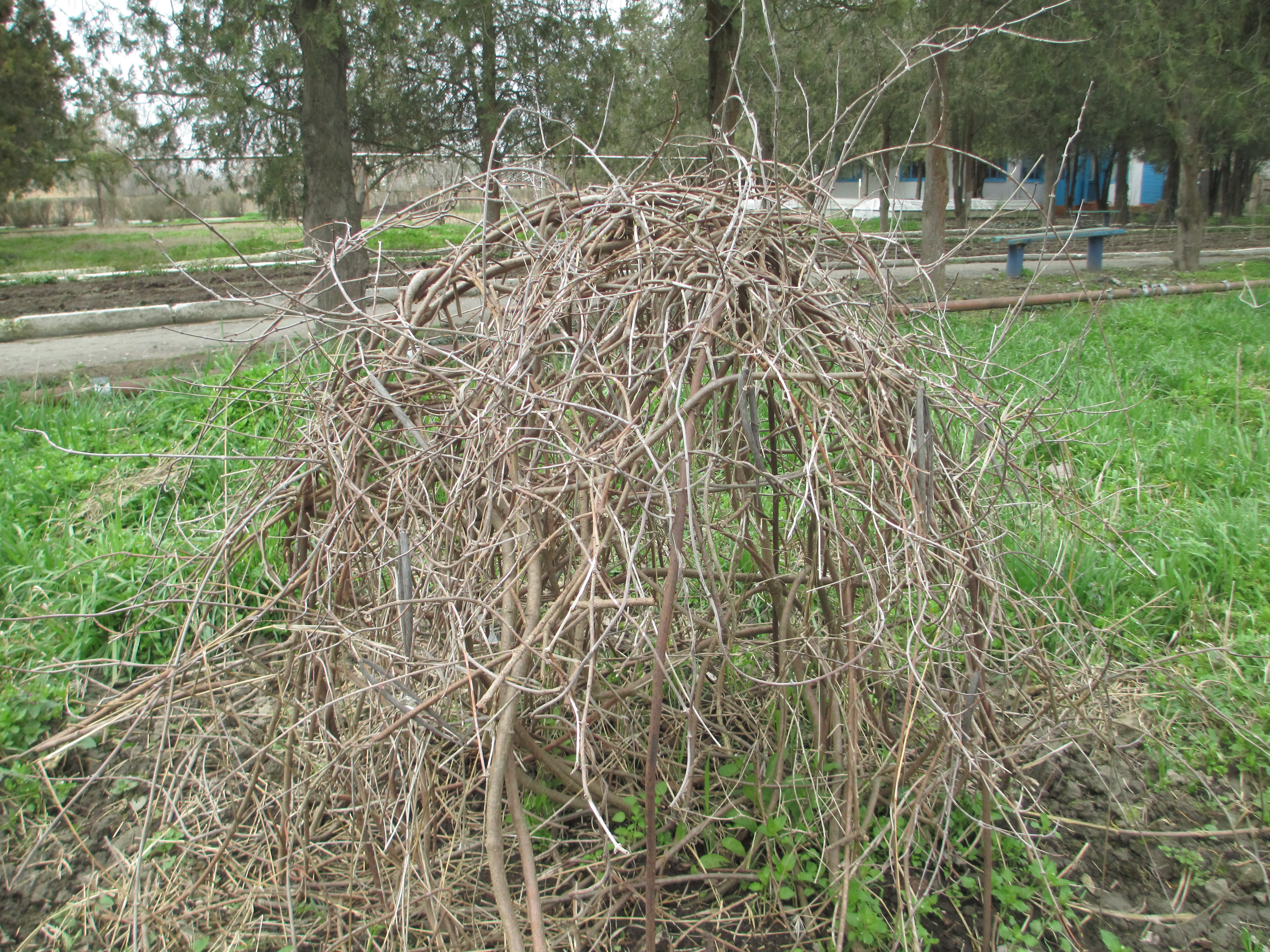 Учебно- опытный участок объединения "Юные аквариумисты"