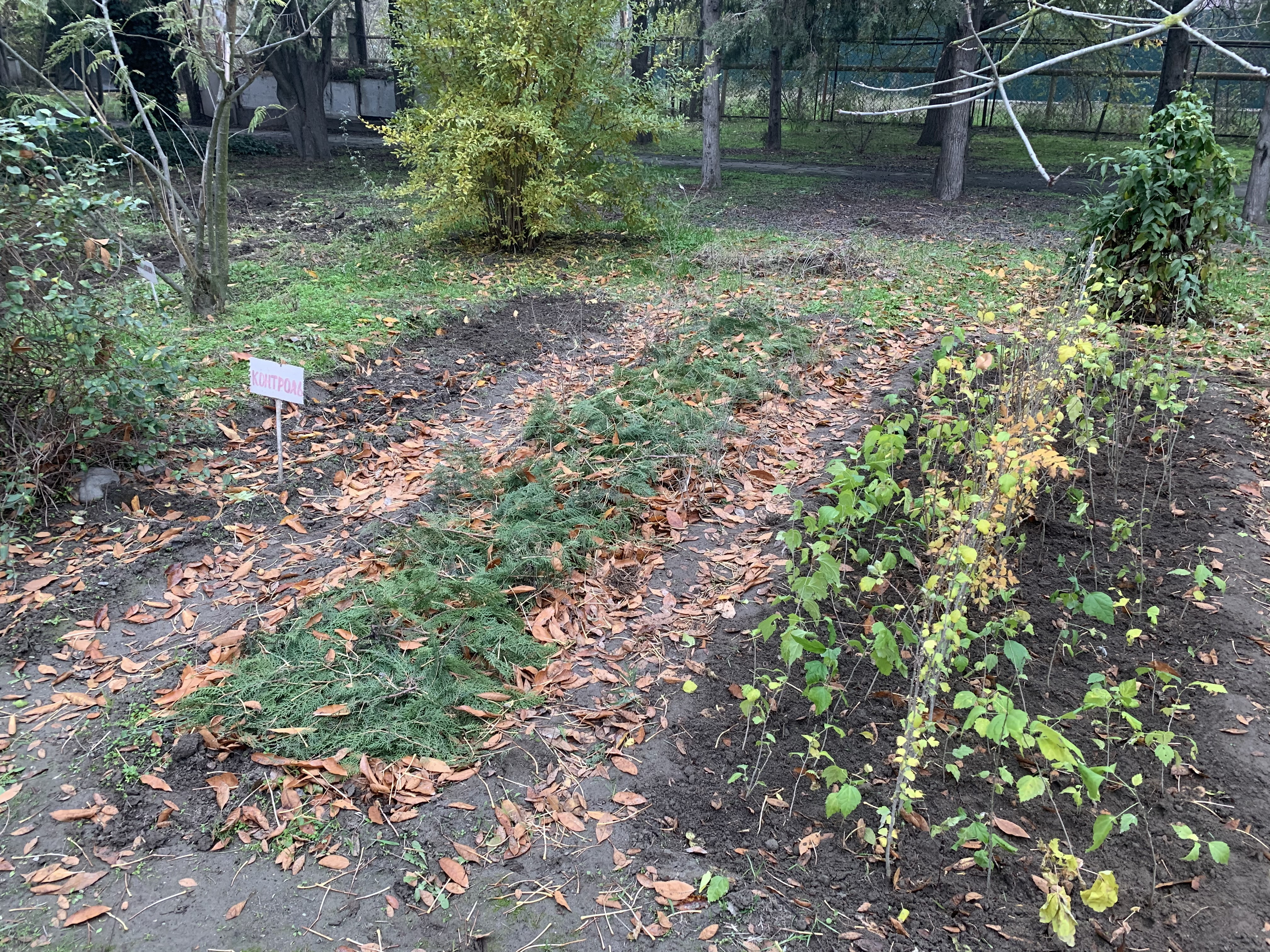 Объединение "Лесоводы"