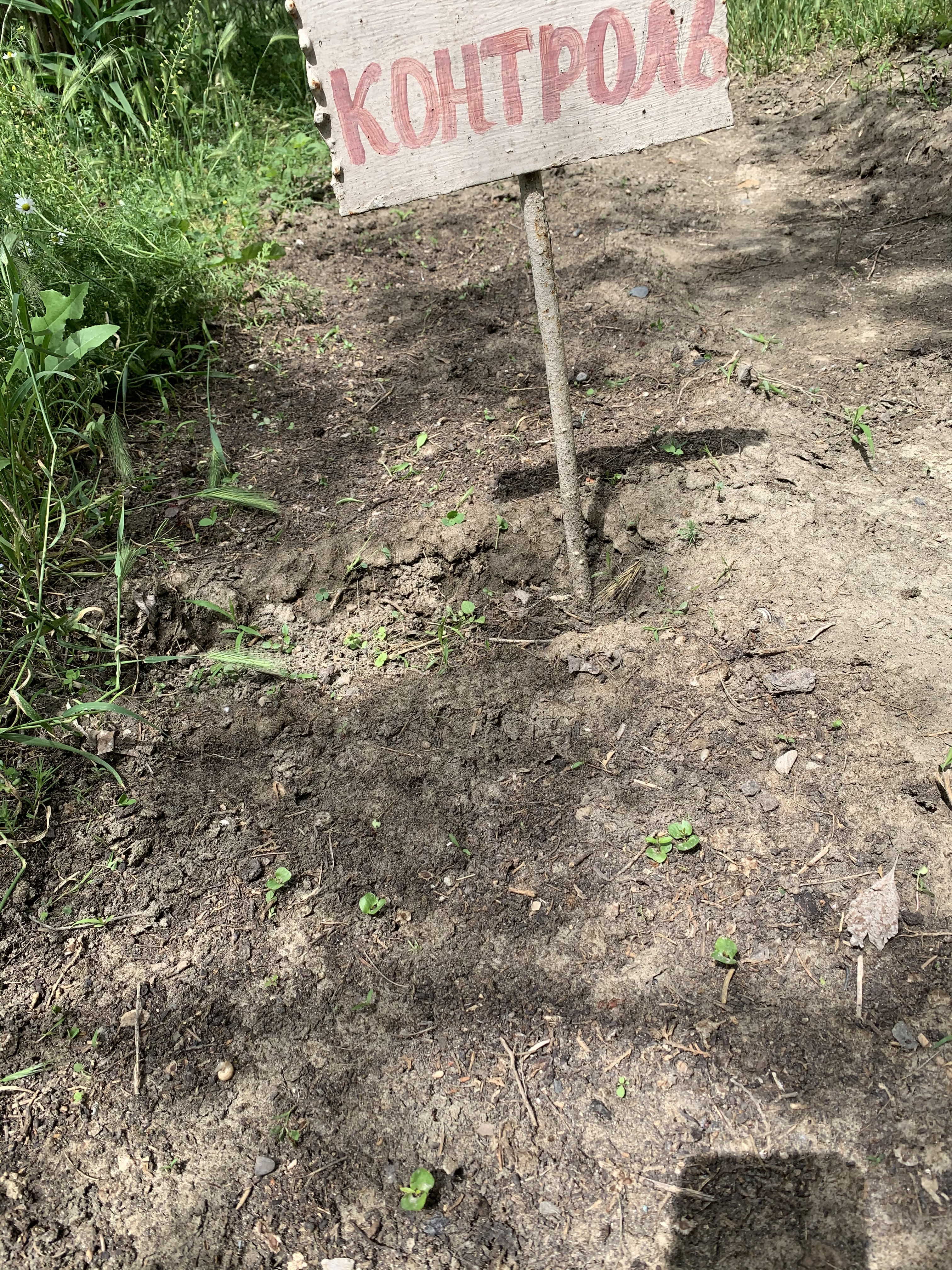 Объединение "Лесоводы"