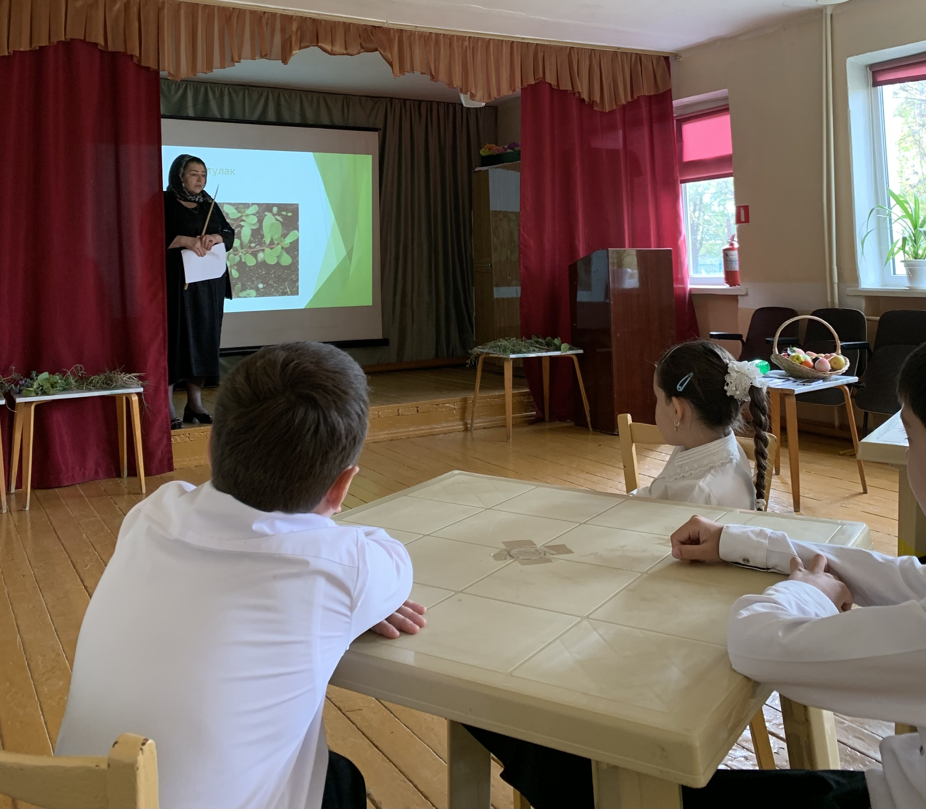 График проведения открытых занятий в объединениях ДДиМ на 2024- 2025 уч.г.