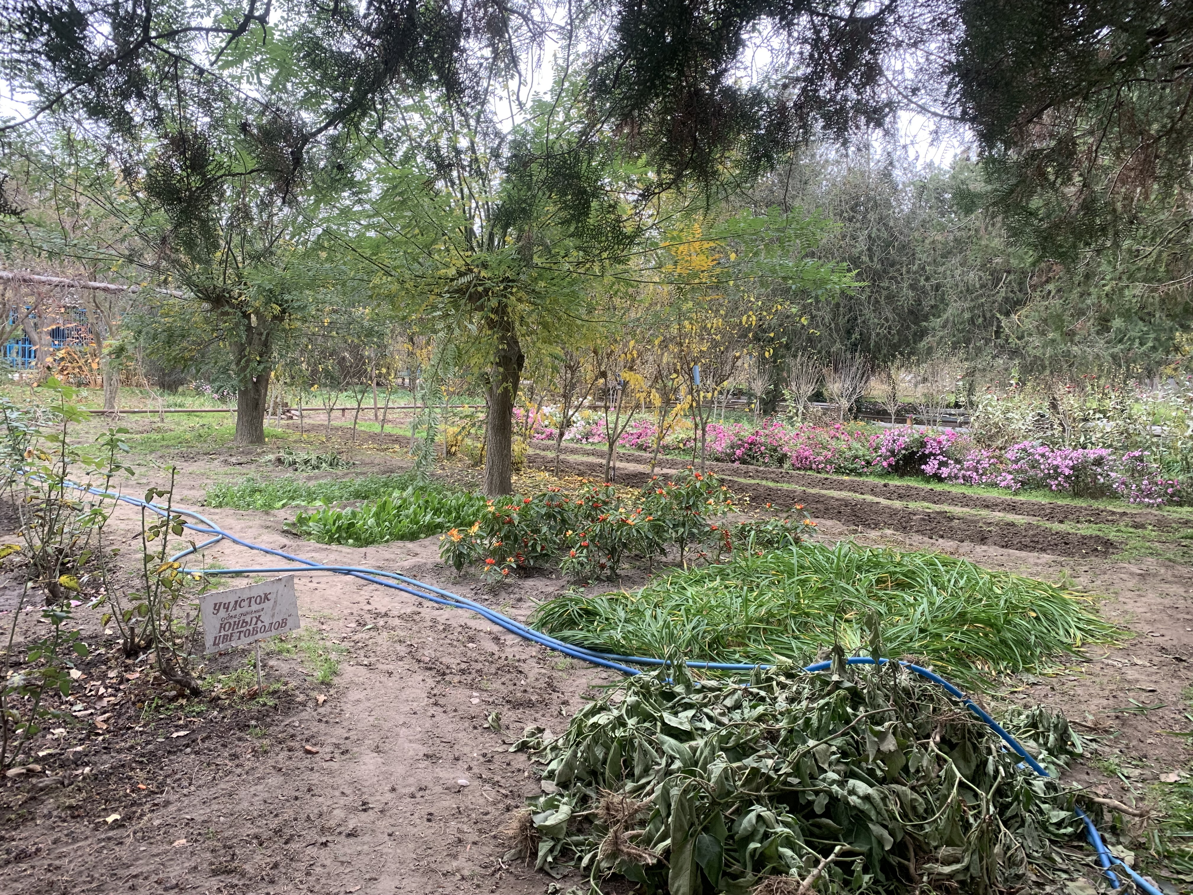 Состояние учебно- опытных участков 2025- 2026 уч.год Состояние учебно- опытных участков 2025- 2026 уч.год