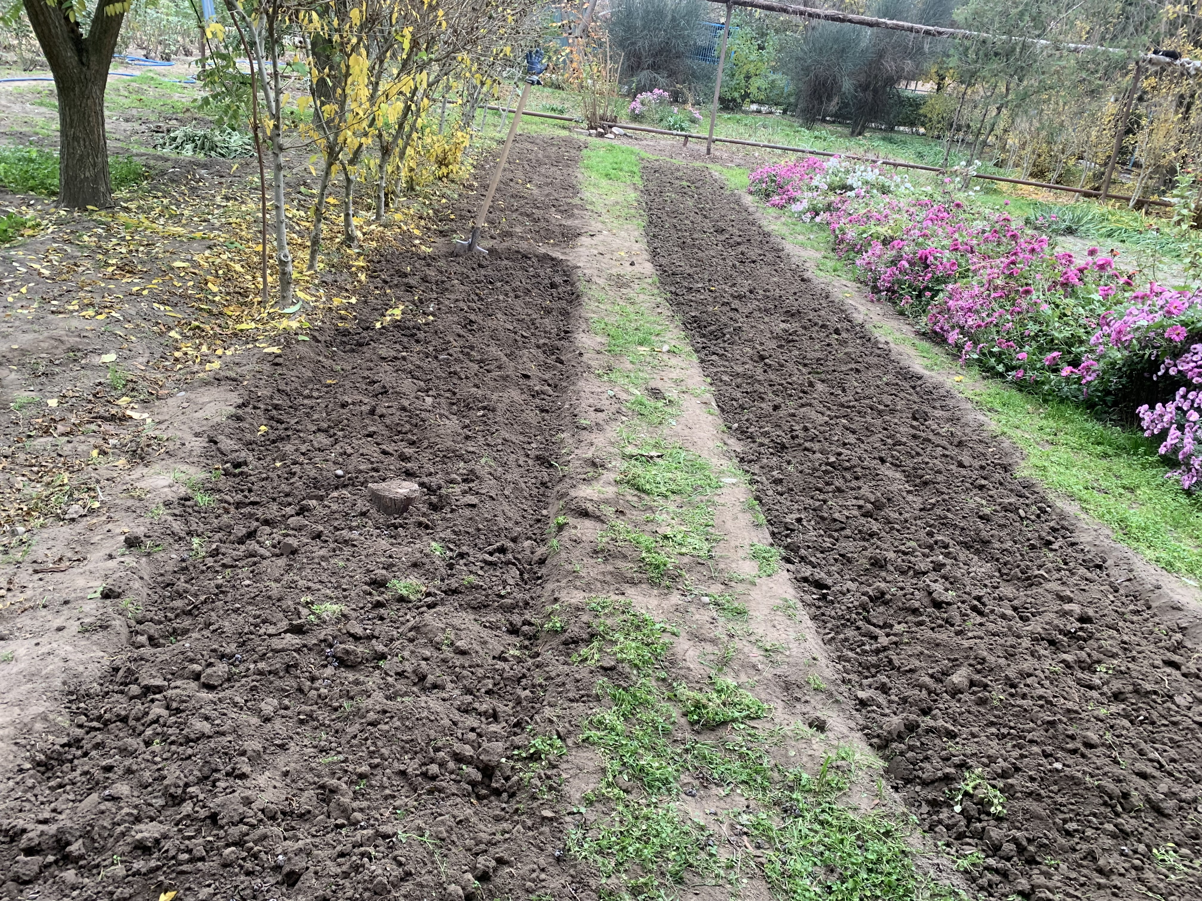 Состояние учебно- опытных участков 2025- 2026 уч.год Состояние учебно- опытных участков 2025- 2026 уч.год