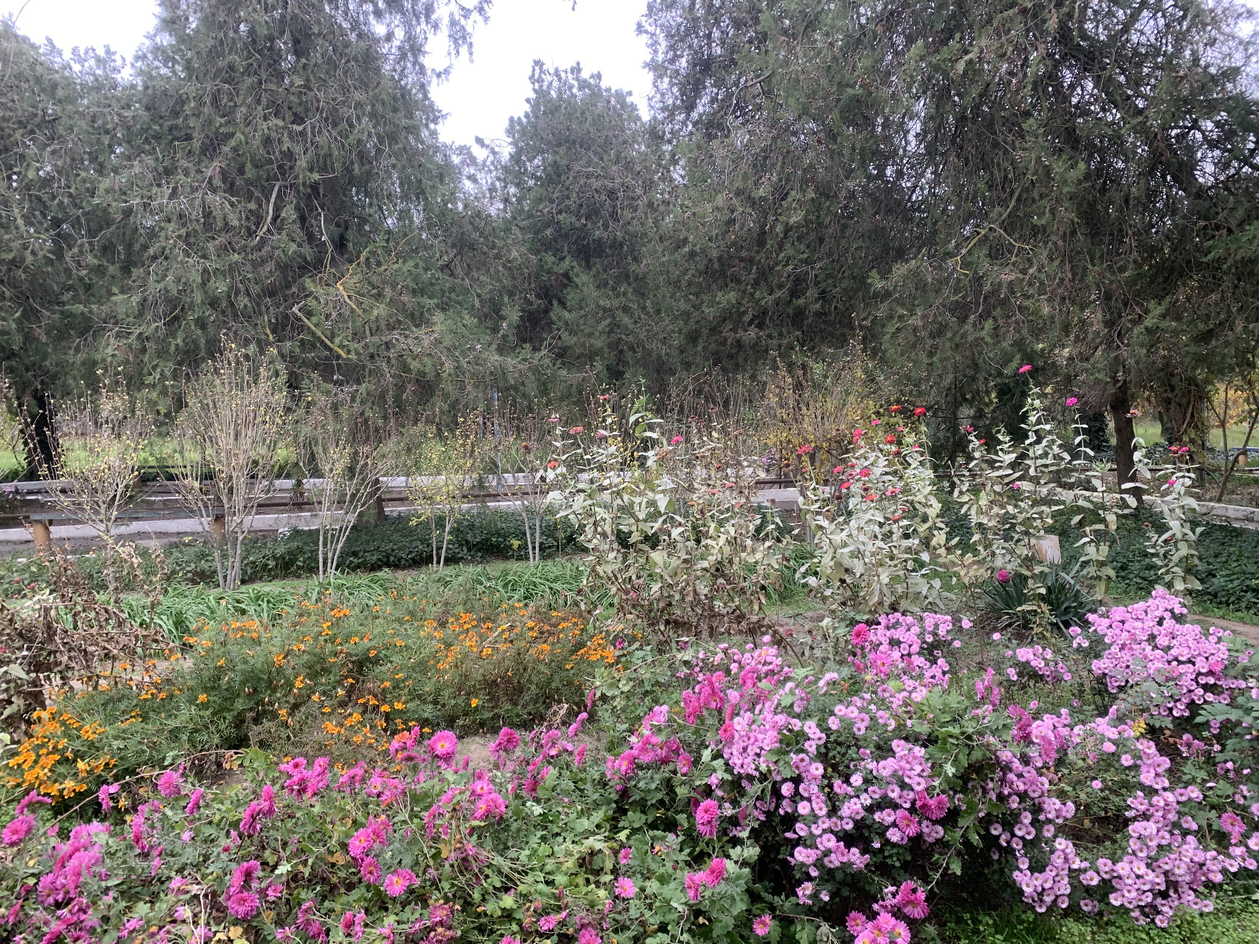 Состояние учебно- опытных участков 2025- 2026 уч.год Состояние учебно- опытных участков 2025- 2026 уч.год