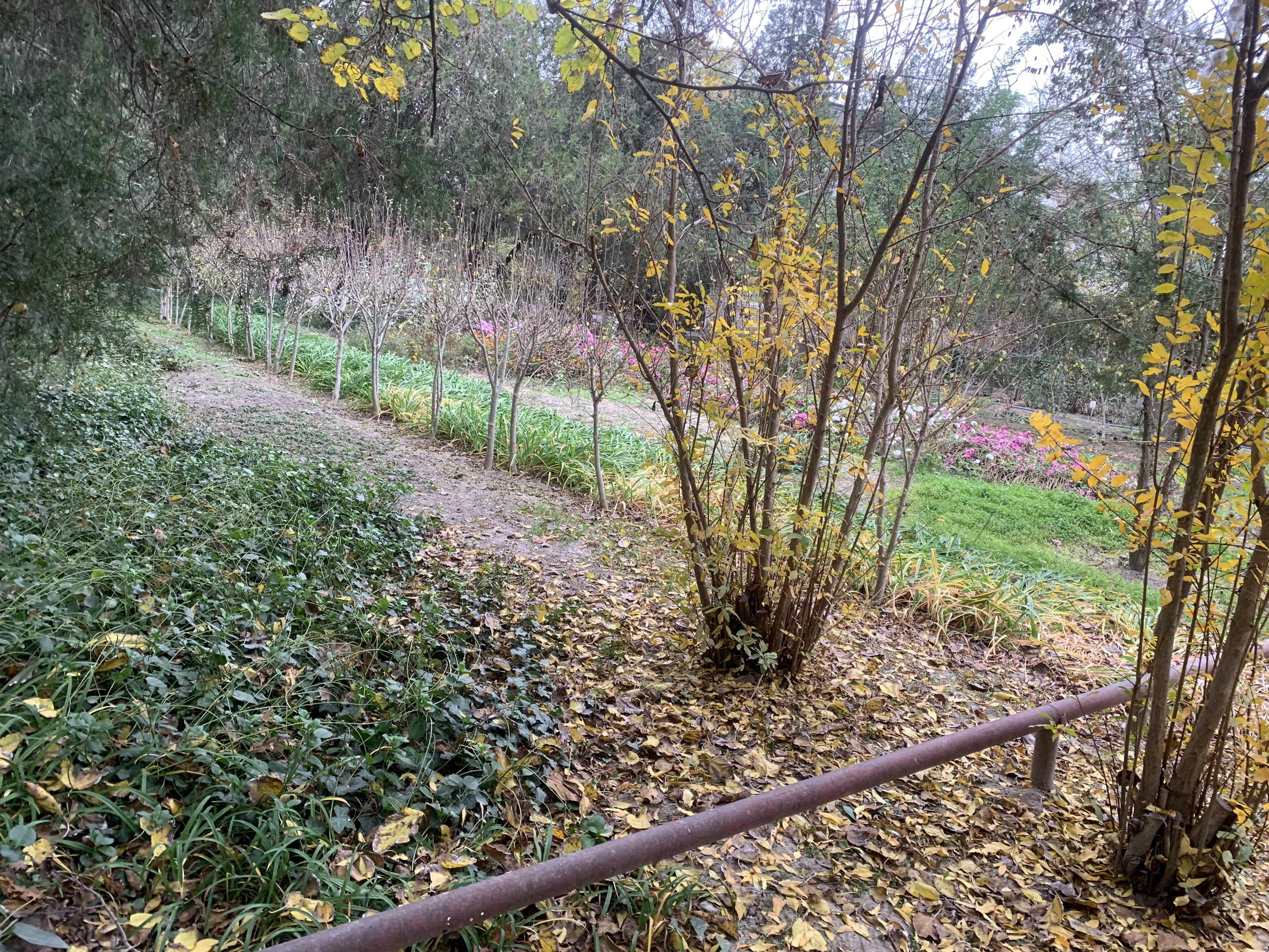 Состояние учебно- опытных участков 2025- 2026 уч.год Состояние учебно- опытных участков 2025- 2026 уч.год