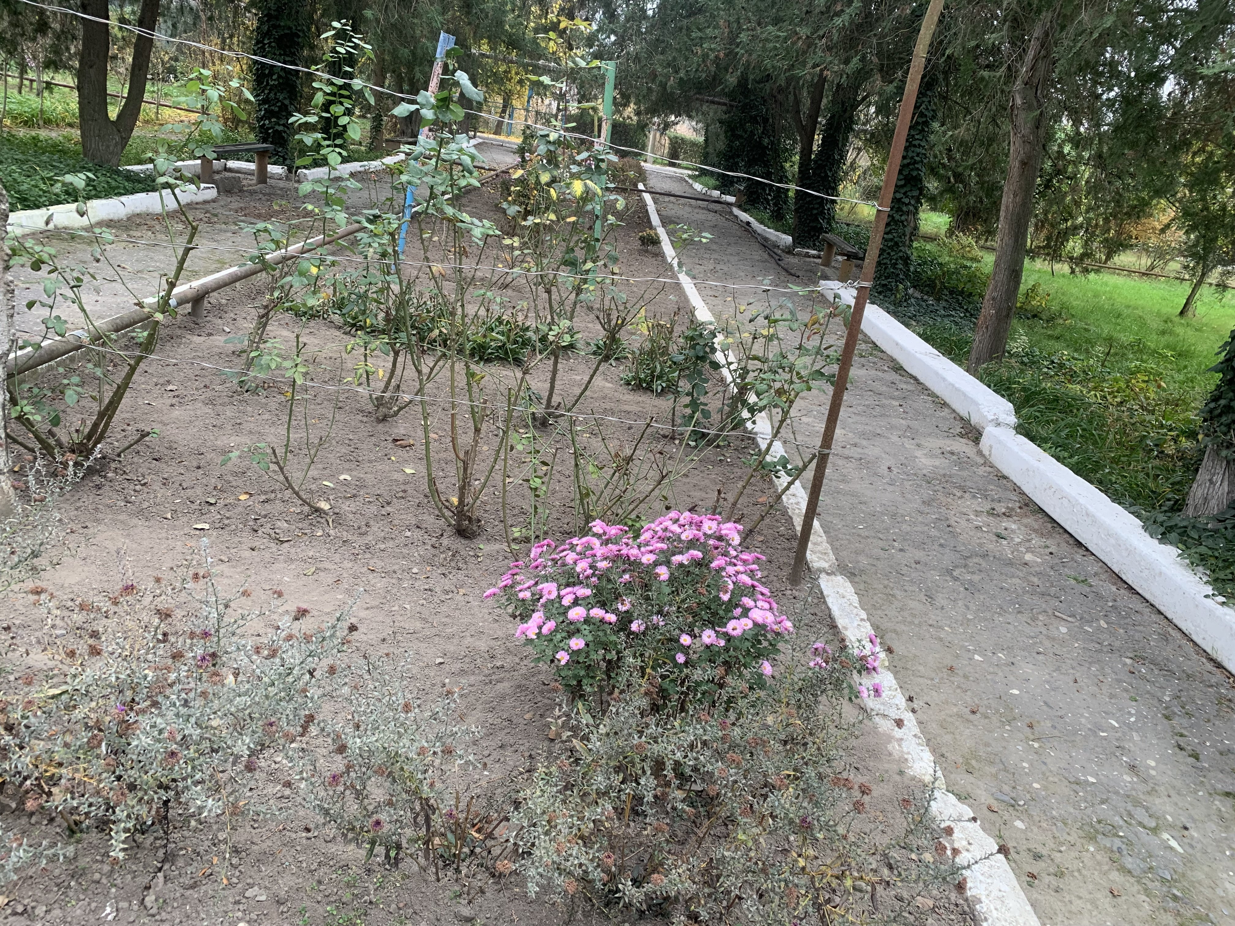 Состояние учебно- опытных участков 2025- 2026 уч.год Состояние учебно- опытных участков 2025- 2026 уч.год