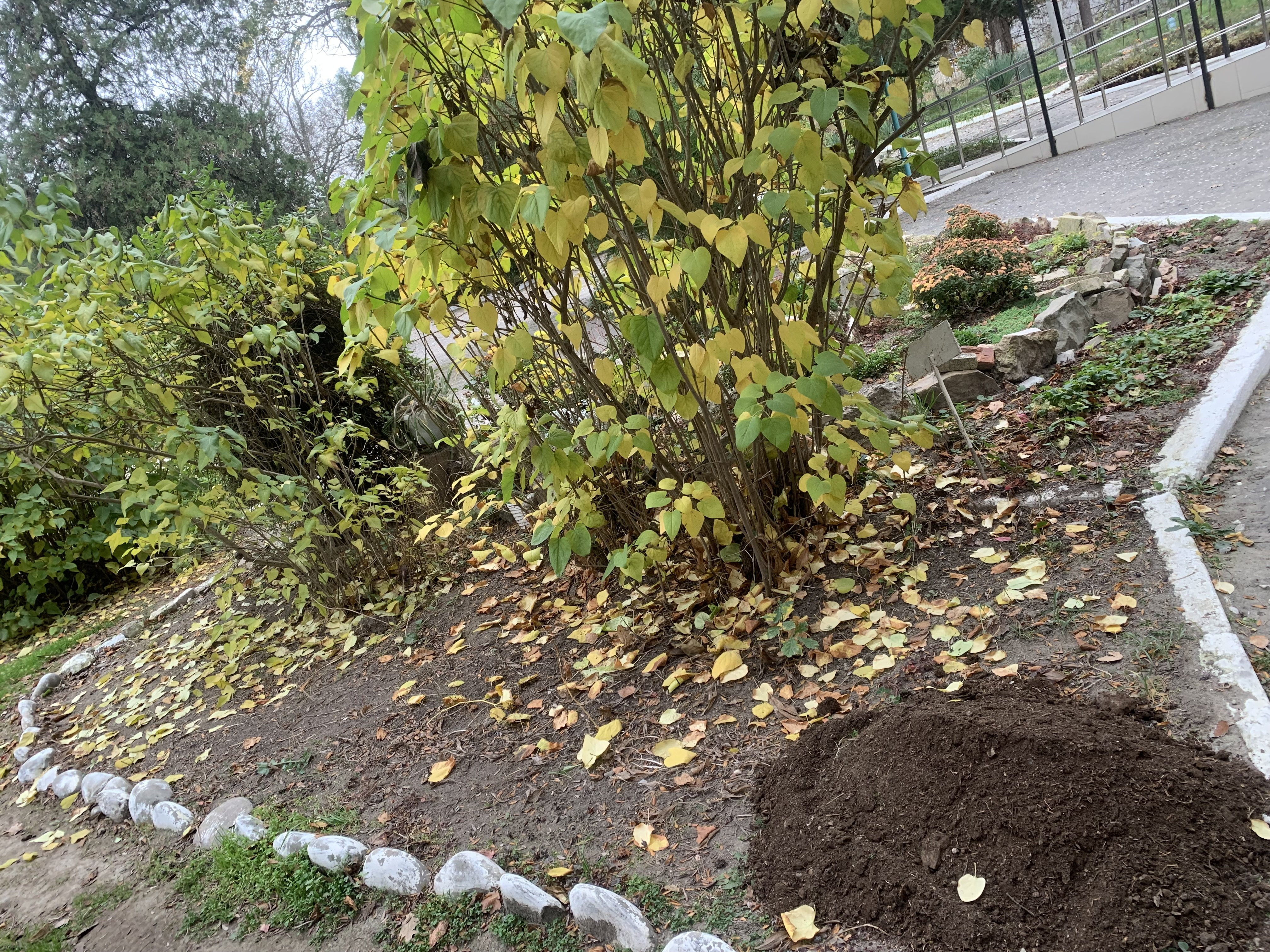 Состояние учебно- опытных участков 2025- 2026 уч.год Состояние учебно- опытных участков 2025- 2026 уч.год