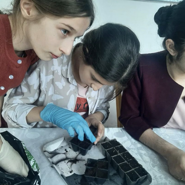 Опытническая и исследовательская работа в объединении "Цветоводы" Опытническая и исследовательская работа в объединении "Цветоводы"